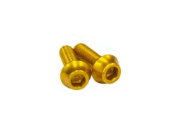 Bottlecage bolts BO M516 G alloy gold 2pcs