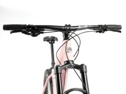 Kolo MTB 29"  Spyder Conad  Shimano Deore  1x11 , velikost  M-19" – barva dle přání