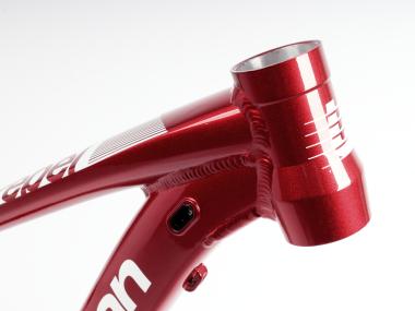 Lee Cougan Rebel rám MTB 29", velikost M – 19"