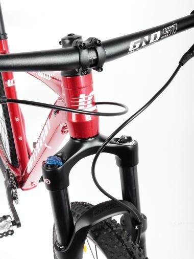 Kolo MTB 29"  Lee Cougan Rebel  Shimano Deore 1x10  , velikost M -19" červená