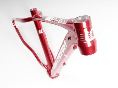 Kolo MTB 29"  Lee Cougan Rebel  Shimano Deore 1x10  , velikost M -19" červená