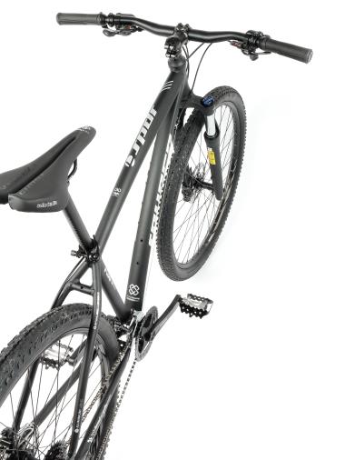 Kolo MTB 29"  Spyder Piana /Shimano Alivio 3x9  , velikost 19"– barva dle přání