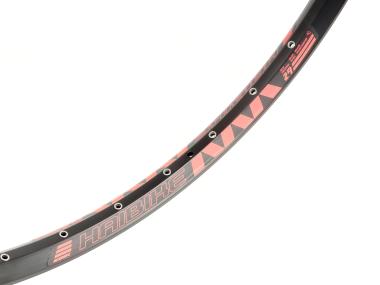 Rodi Tryp 30  Disc  MTB 29" ráfek  32 děr