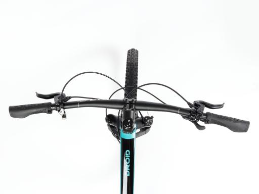 Kolo MTB 29" Lee Cougan Droid Shimano Deore 1x11 velikost M -19" modro-černá lesklá