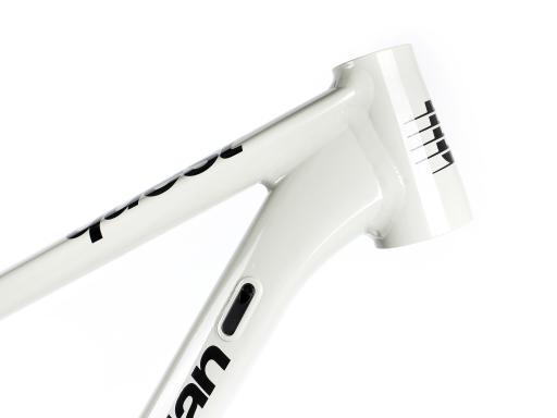 Full suspension MTB 29" Lee Cougan Quest SHIMANO Deore Di2 M6250 1x12, size M – 17.5" (44 cm), glossy grey