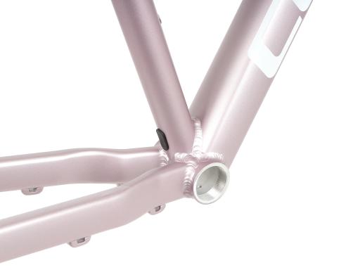 Kolo MTB 29" Cube Access WS Pro Sram NX Eagle 1x12, velikost L – 18", světle růžová